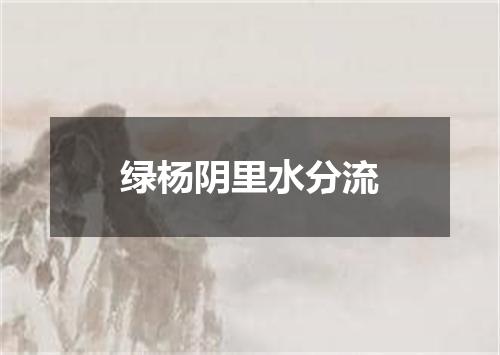 绿杨阴里水分流