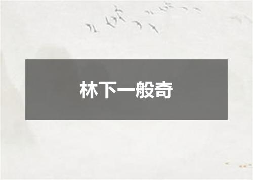 林下一般奇