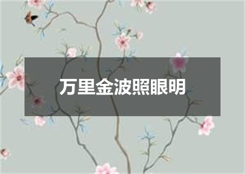 万里金波照眼明