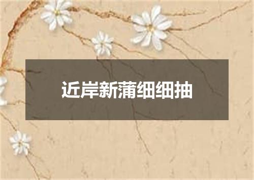 近岸新蒲细细抽