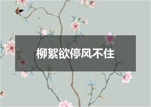 柳絮欲停风不住