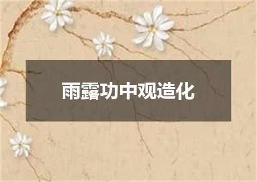 雨露功中观造化