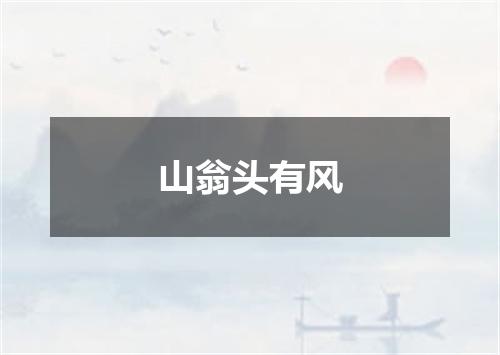 山翁头有风