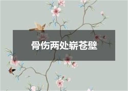 骨伤两处崭苍壁
