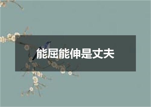 能屈能伸是丈夫