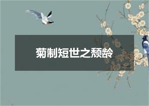 菊制短世之颓龄