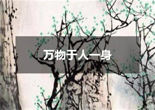 万物于人一身