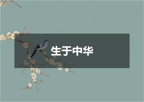 生于中华