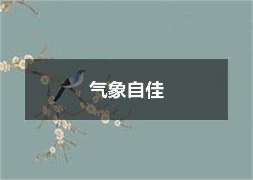 气象自佳