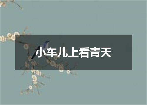 小车儿上看青天