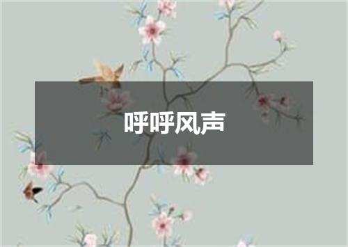 呼呼风声
