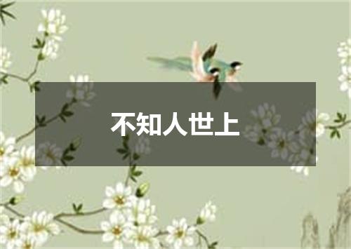 不知人世上