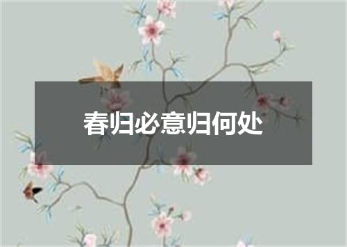 春归必意归何处