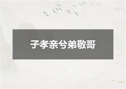 子孝亲兮弟敬哥