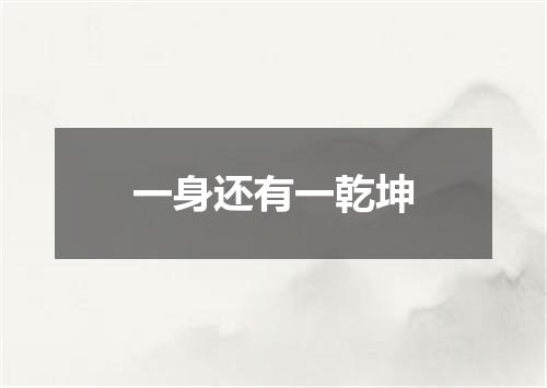 一身还有一乾坤