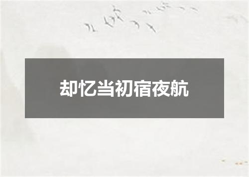 却忆当初宿夜航