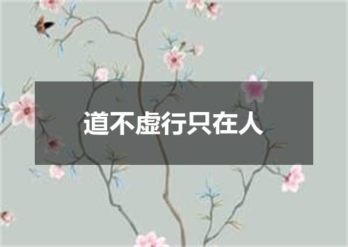 道不虚行只在人