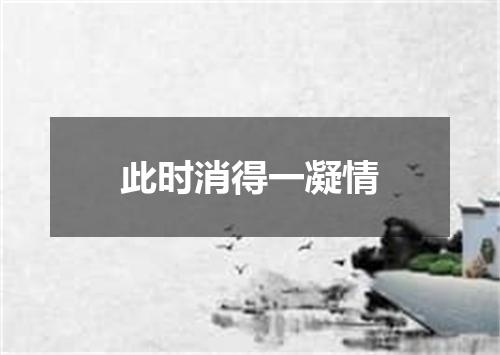 此时消得一凝情