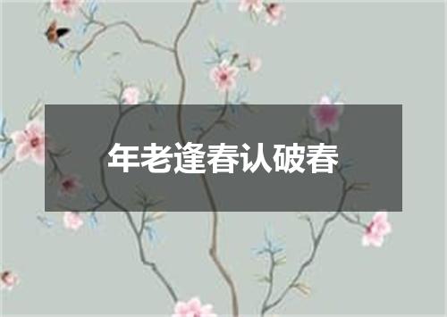 年老逢春认破春