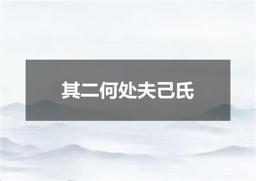 其二何处夫己氏