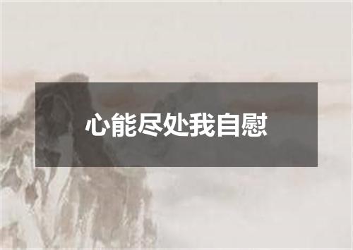 心能尽处我自慰