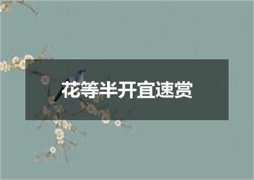 花等半开宜速赏