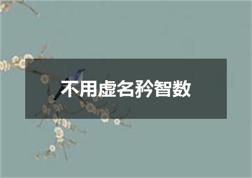 不用虚名矜智数