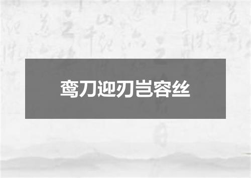 鸾刀迎刃岂容丝