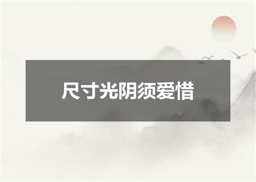 尺寸光阴须爱惜