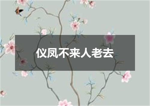 仪凤不来人老去