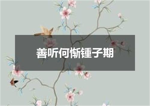 善听何惭锺子期