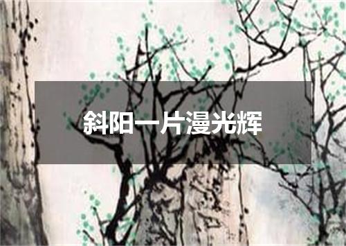 斜阳一片漫光辉