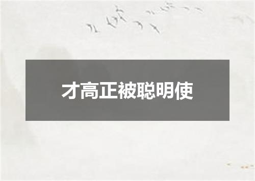 才高正被聪明使