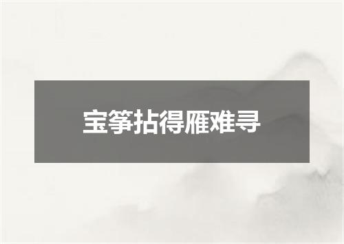 宝筝拈得雁难寻