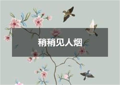 稍稍见人烟