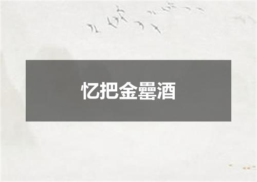 忆把金罍酒
