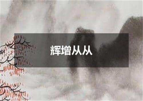 辉增从从