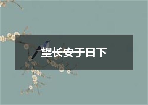 望长安于日下