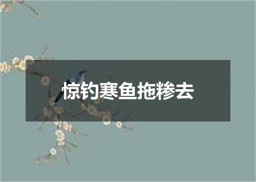 惊钓寒鱼拖糁去
