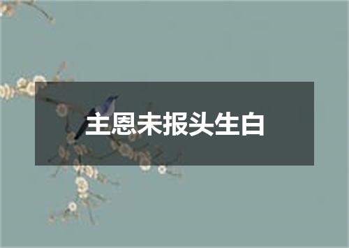 主恩未报头生白