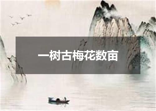 一树古梅花数亩