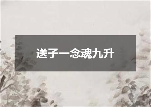 送子一念魂九升