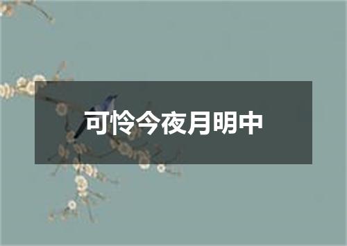 可怜今夜月明中