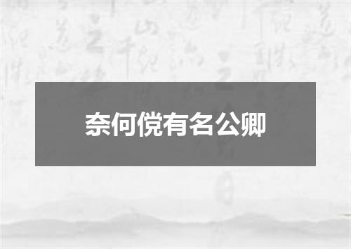 奈何傥有名公卿