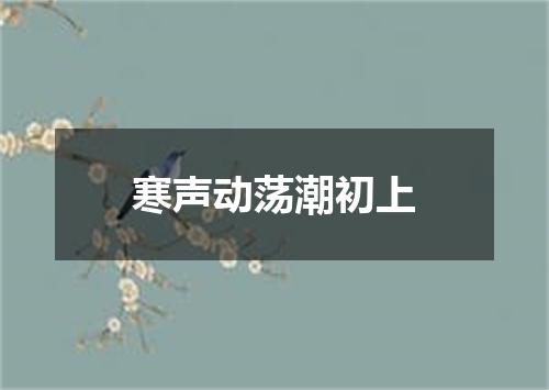 寒声动荡潮初上