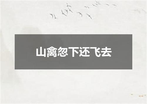 山禽忽下还飞去