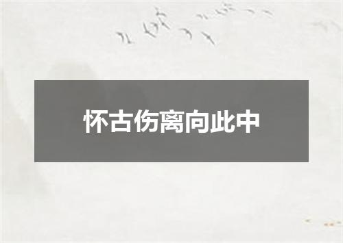 怀古伤离向此中