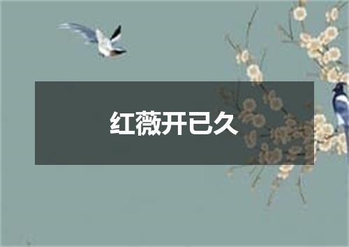 红薇开已久