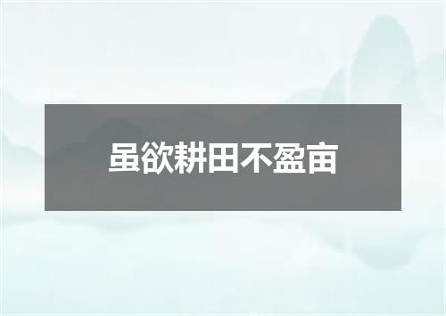 虽欲耕田不盈亩