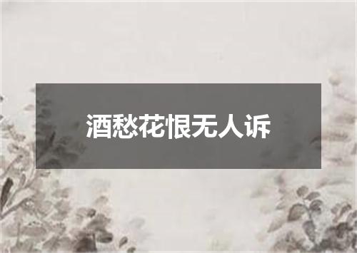 酒愁花恨无人诉